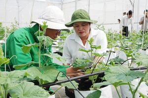 Phát triển đội ngũ khuyến nông chuyên sâu, đẩy mạnh ứng dụng công nghệ số
