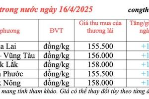Giá tiêu hôm nay 16/4/2025, trong nước duy trì đà tăng