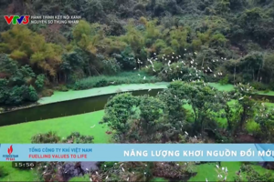 Hành trình Kết nối xanh: Khám phá vẻ đẹp hoang sơ và kỳ vĩ của Thung Nham