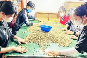 Giá cà phê hôm nay 17/4/2025, thị trường giữ đà tăng