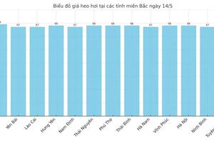 Giá heo hơi hôm nay 14/5/2025: Miền Nam giữ đà tăng nhẹ