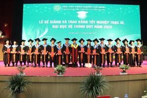 Đào tạo chuyên sâu, đón đầu xu thế