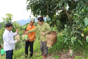 Xuất khẩu rau quả vượt khó để hoàn thành mục tiêu