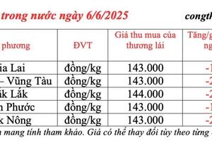Giá tiêu hôm nay 6/6/2025: trong nước biến động giảm