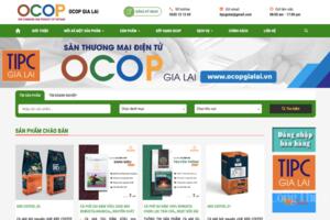 Thương mại điện tử mở lối cho nông sản Gia Lai vươn tầm