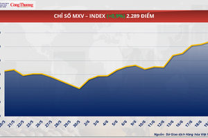 Giá cà phê Arabica giảm về mức 6.945 USD/tấn, thấp nhất trong vòng hơn 5 tháng