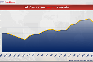 Giá cà phê Robusta quay đầu phục hồi về mức 3.904 USD/tấn