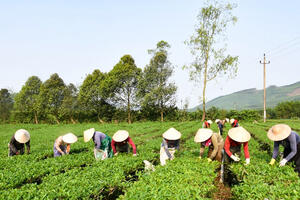 Hạt nhân xây dựng nông thôn mới bền vững ở Hà Tĩnh