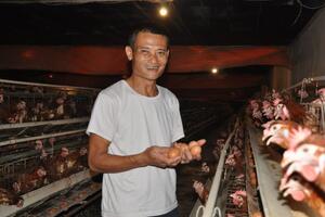 HTX mừng và lo khi giá trứng tăng mạnh