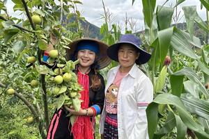 Sống khỏe nhờ kết hợp nông nghiệp sạch - du lịch xanh