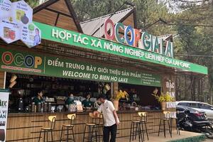 Bừng sáng sức sống nông thôn mới từ vùng đất cao nguyên Gia Lai
