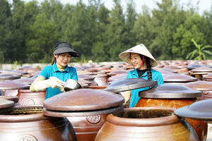 Những ‘cánh chim’ đưa nông thôn mới Hà Tĩnh vươn cao