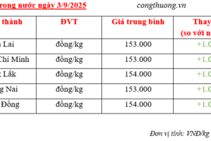 Giá tiêu hôm nay 3/9/2025: Trong nước tăng mạnh, thế giới ổn định