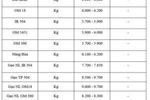 Giá lúa gạo hôm nay ngày 5/9: Thị trường trầm lắng
