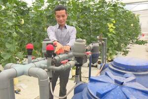 Trăn trở của HTX khi chuyển đổi sang mô hình nông trại thông minh