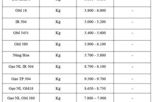Giá lúa gạo hôm nay ngày 14/10: Thị trường lặng sóng