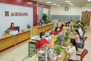 Ngân hàng hạ lãi suất giúp doanh nghiệp hồi phục sau bão