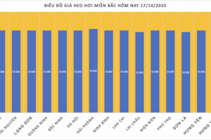 Giá heo hơi hôm nay 17/10/2025: Trầm lắng trên cả ba miền