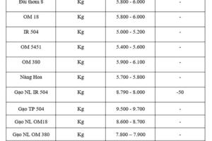 Giá lúa gạo hôm nay ngày 21/10: Thị trường lặng sóng
