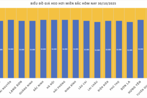 Giá heo hơi hôm nay 30/10/2025:  Giảm nhẹ tại miền Trung