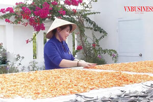 Xây dựng nông thôn mới ở Cà Mau nhìn từ sự vươn mình của các HTX