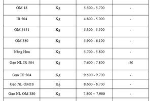Giá lúa gạo hôm nay ngày 3/11: Gạo xuất khẩu giảm, lúa chững giá