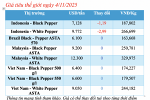 Giá tiêu hôm nay 4/11/2025: Tăng nhẹ 500 đồng/kg