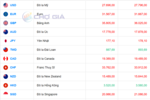 Tỷ giá USD hôm nay 5/11/2025: Trong nước tăng nhẹ