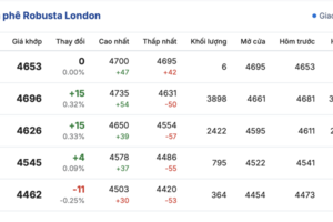 Giá cà phê hôm nay 6/11/2025: Giảm nhẹ cục bộ