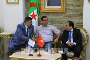 Triển vọng hợp tác kinh tế, thương mại Việt Nam - Algeria