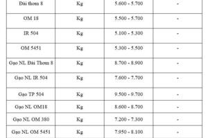 Giá lúa gạo hôm nay ngày 17/11: Gạo xuất khẩu bình ổn, lúa vững giá