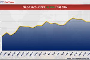 Nguồn cung thắt chặt, giá cà phê thế giới tiếp tục leo thang