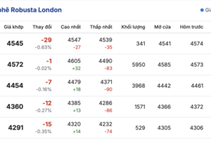 Giá cà phê hôm nay 20/11/2025: Tiếp tục tăng mạnh
