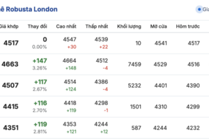 Giá cà phê hôm nay 21/11/2025: Đảo chiều giảm mạnh
