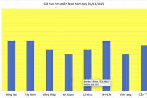 Giá heo hơi hôm nay 25/11/2025: Đồng loạt tăng