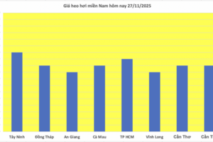 Giá heo hơi hôm nay 27/11/2025: Miền Trung tăng 1.000 đồng/kg