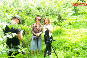 Những cú ‘click’ đưa nông sản Sơn La đi khắp cả nước, vươn ra thế giới