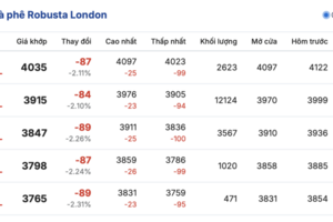 Giá cà phê hôm nay 16/12/2025: Cà phê nội địa 'lao dốc'