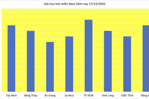 Giá heo hơi hôm nay 17/12/2025: Tiếp tục lập đỉnh mới 66.000 đồng/kg