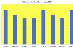 Giá heo hơi hôm nay 23/12/2025: Miền Bắc tiếp đà tăng