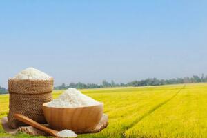 Giá lúa gạo hôm nay ngày 24/12: Gạo xuất khẩu tăng nhẹ