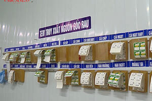 Người trồng rau Chúc Sơn làm nông bằng dữ liệu, đổi thay từ chuyển đổi số HTX