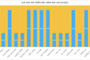 Giá heo hơi hôm nay 30/12/2025: Biến động trái chiều