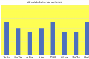 Giá heo hơi hôm nay 5/1/2026: 'Hạ nhiệt' trên cả 3 miền