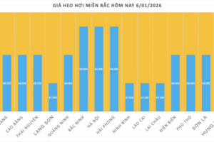 Giá heo hơi hôm nay 6/1/2026: Tăng 1.000 đồng