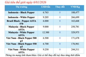Giá tiêu hôm nay 6/1/2026: Chững lại chờ tín hiệu mới