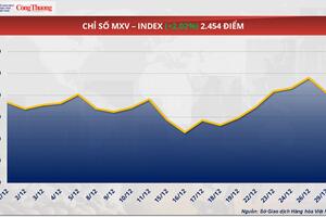 Triển vọng nguồn cung Nam Mỹ kéo giá đậu tương lao dốc