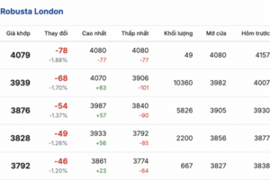 Giá cà phê hôm nay 9/1/2026: Giảm nhẹ vài nơi