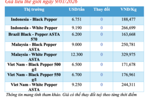 Giá tiêu hôm nay 9/1/2026: Cao nhất 152.500 đồng/kg