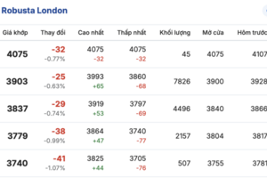 Giá cà phê hôm nay 12/1/2026: Tiếp tục đi ngang phiên đầu tuần